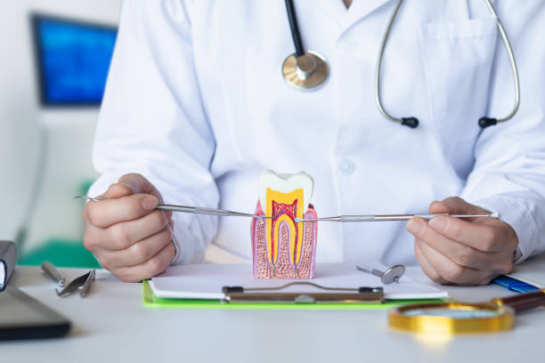 Best Tooth Pain Emergency Relief  in Carey, ID